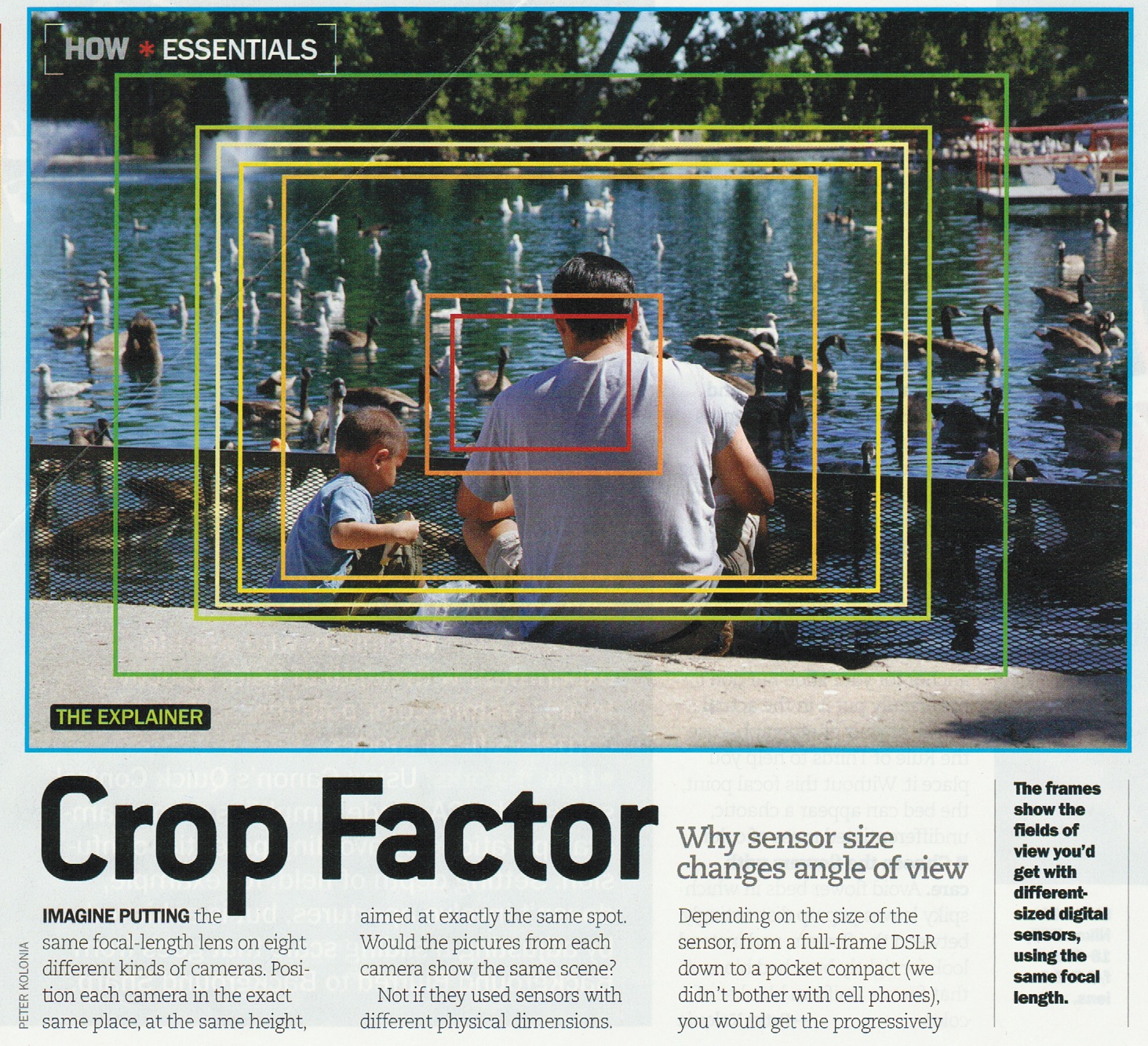 cropfactorarticle1