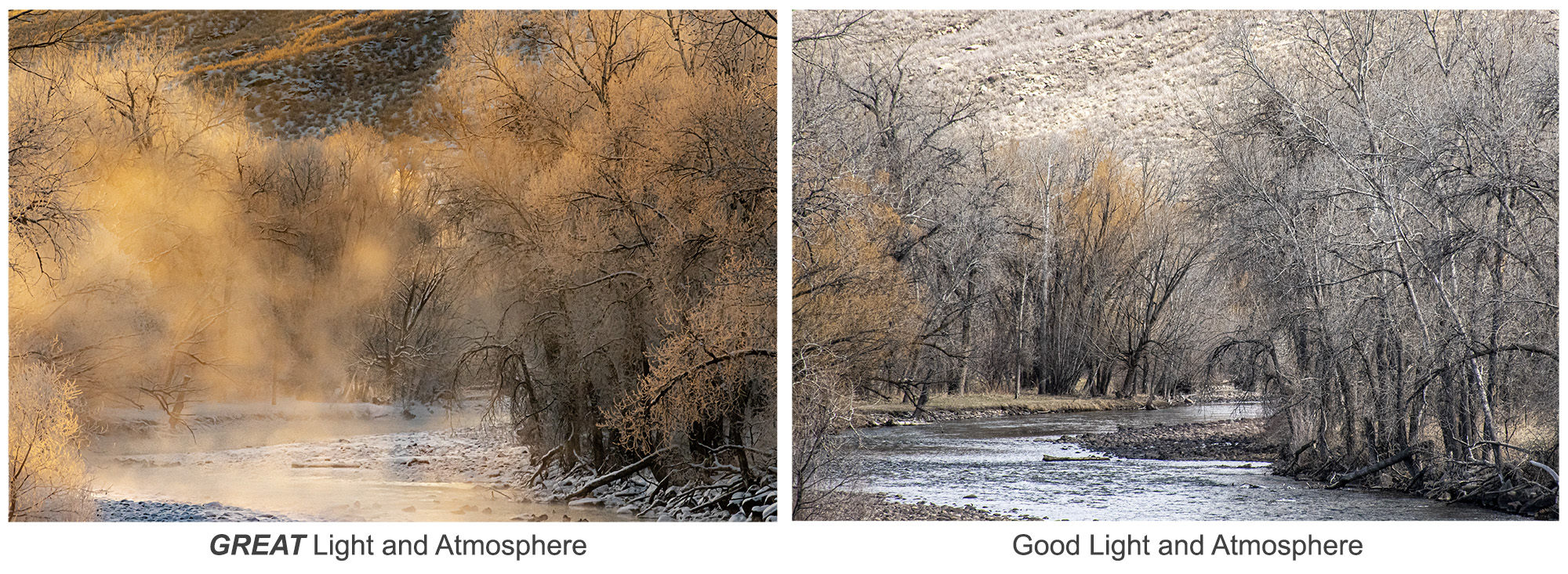 EXAMPLE OF GREAT PHOTOGRAPHIC LIGHT VS. GOOD LIGHT