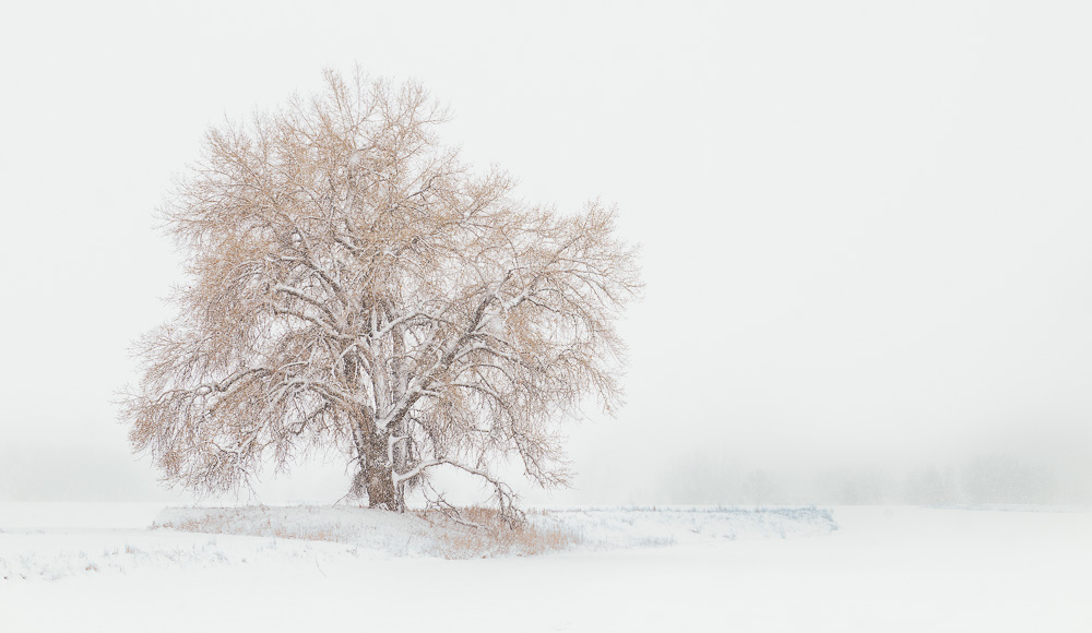 Rule of Thirds used