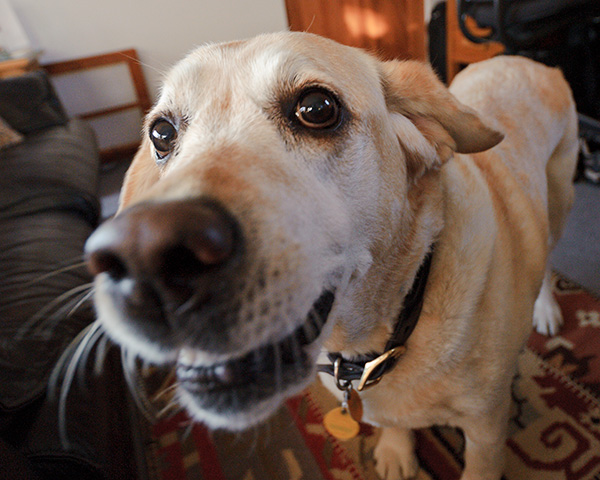 wide lens example